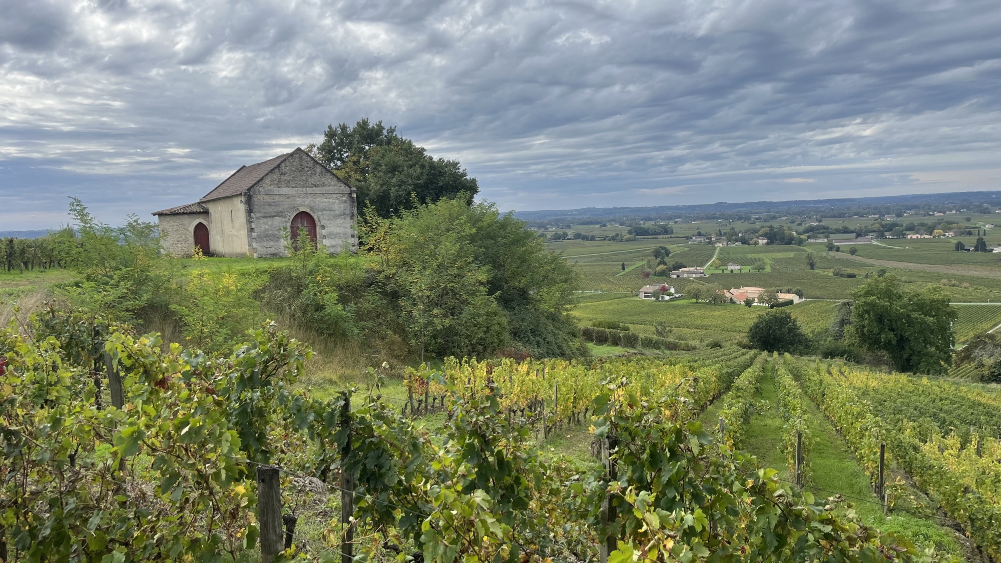 Stone chapel among vineyard rows in Saint-Émilion, Bordeaux